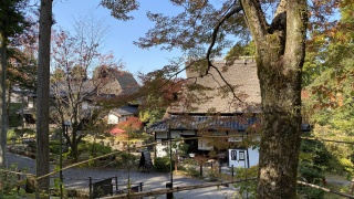 茅葺き屋根の古民家群