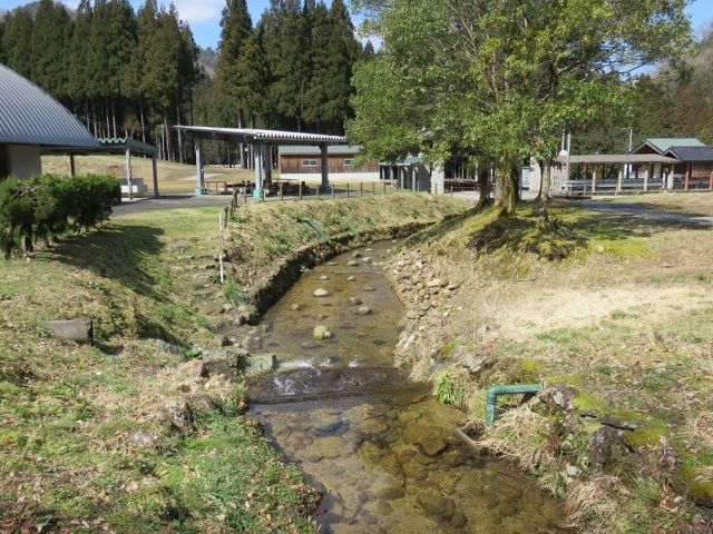 イワナつかみの川