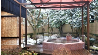 小庭園と六角形の露天風呂