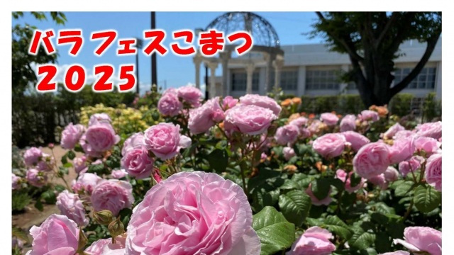 バラフェスこまつ2025